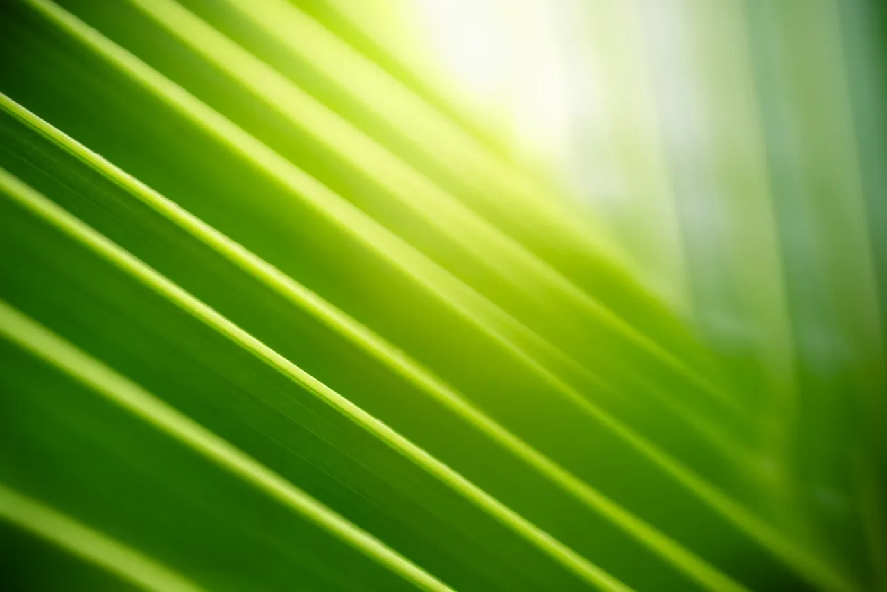 e1_sustain_img.jpg
